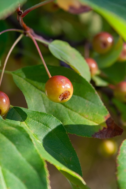 的潜力以及 的潜力以及