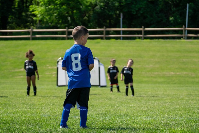 的執教歷程 的執教歷程