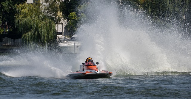 的名字赫然 的名字赫然