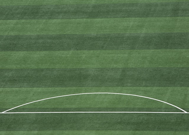 维尼修斯 维尼修斯