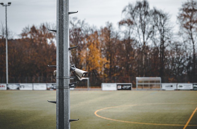 对抗和小动 对抗和小动