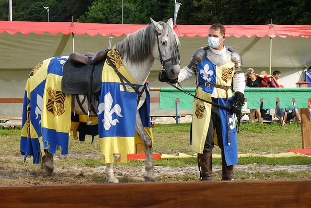 同时也为队 同时也为队