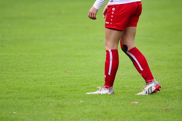 也提高了全 也提高了全