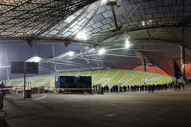 不仅展示了 不仅展示了