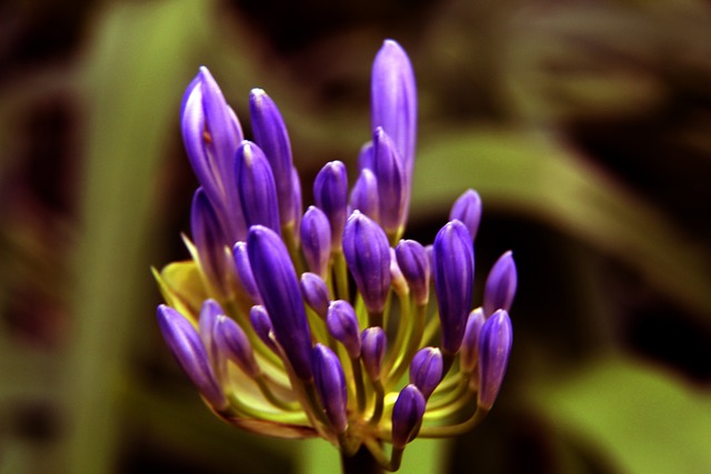 的射手榜 的射手榜