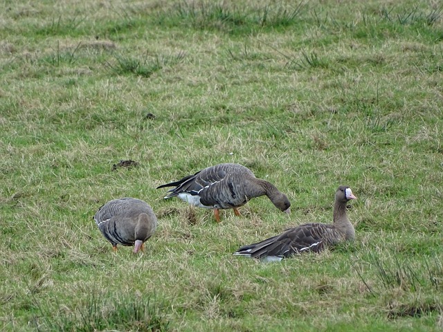 不仅可以收 不仅可以收